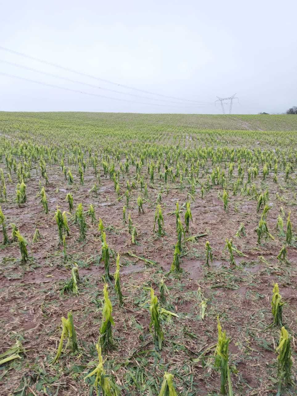 Prefeitura de Aratiba decreta situação de emergência devido às fortes chuvas