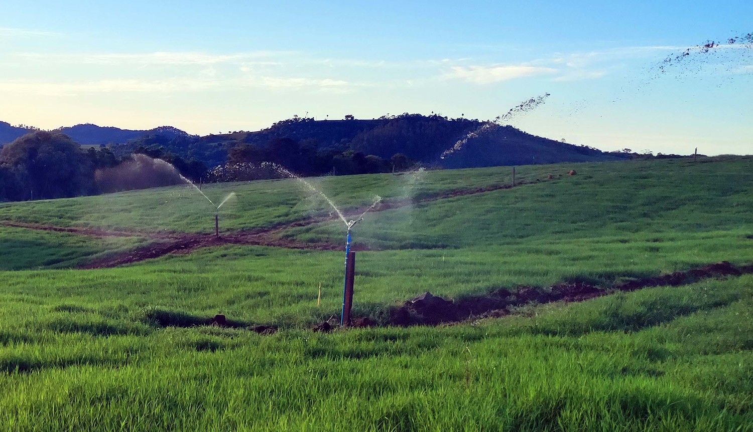 Programa da prefeitura incentiva irrigação e fertirrigação